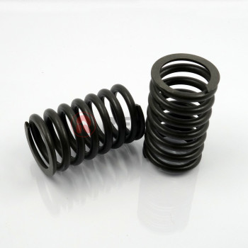 ELEMENT SPRING