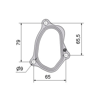 STEEL GASKET