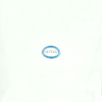 O-RING VITON AZZURRO